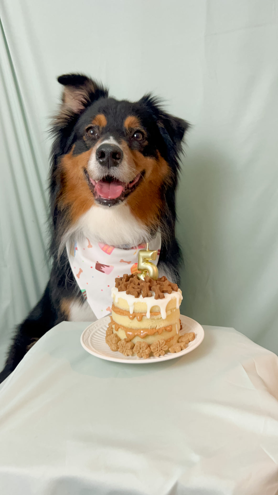 Birthday Bash Bandana